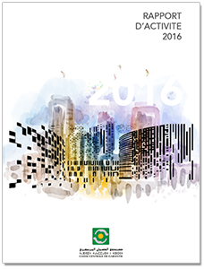 rapport 2016