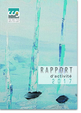 rapport 2017