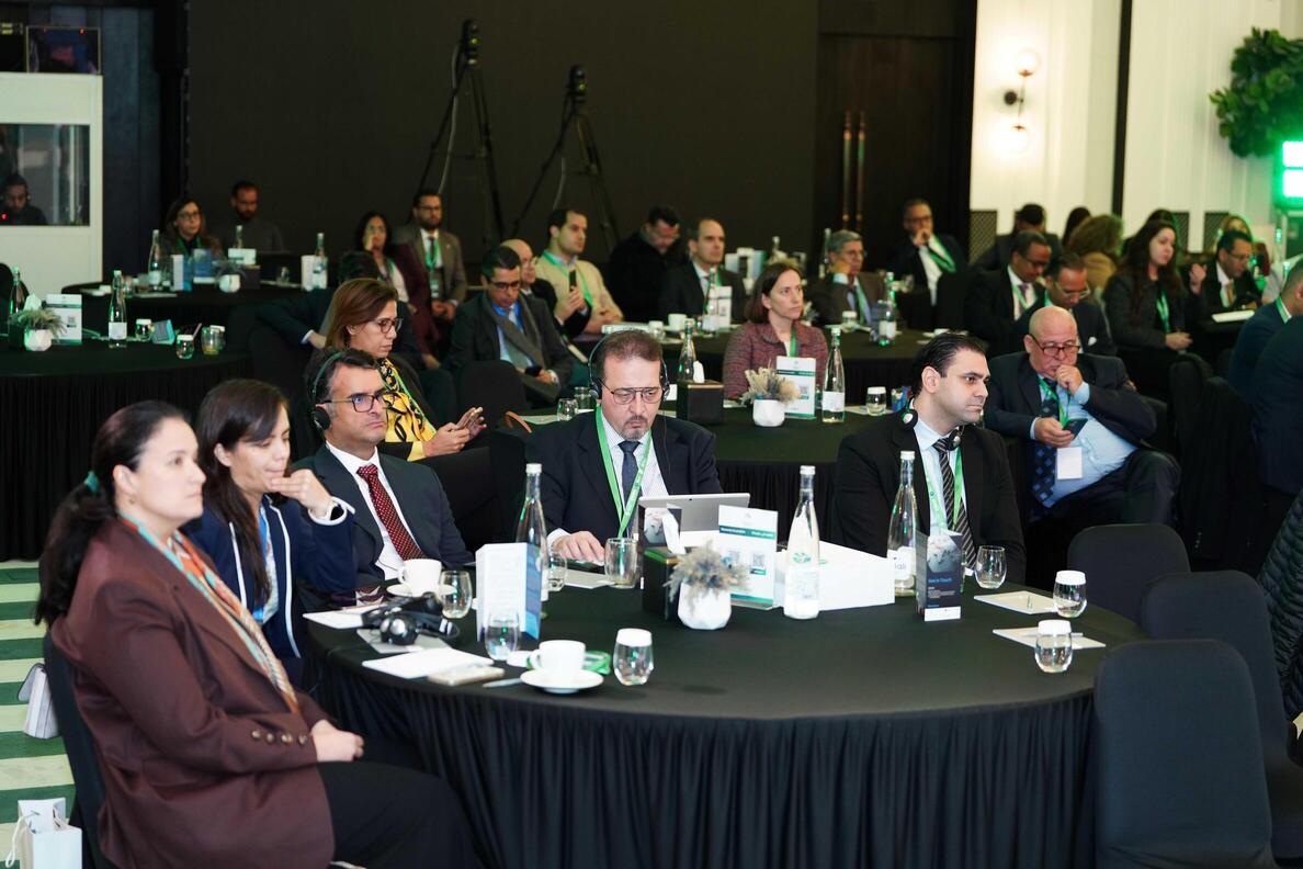 5th annual conference of the euromediterranean 