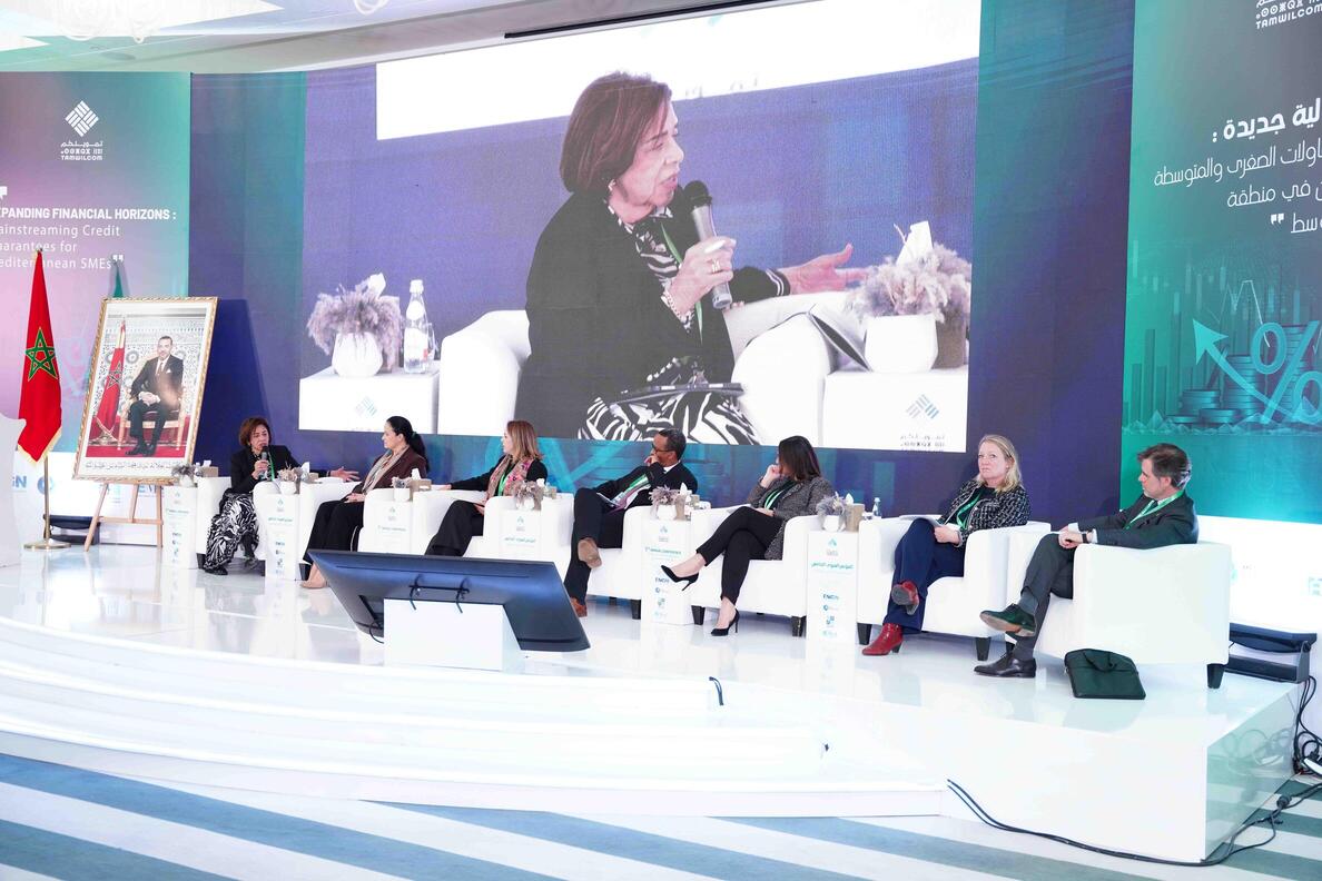 5th annual conference of the euromediterranean 
