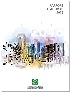 rapport 2016
