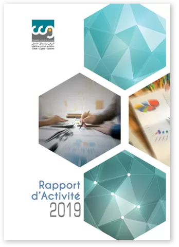rapport 2019